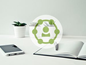 pexels-ylanite-koppens-796602